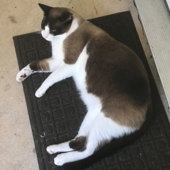 Meet your Posher, Anel - Picture 1 of 1